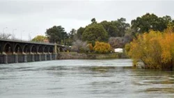 Vista Alegre: buscó refrescarse y desapareció en el río