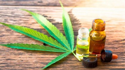 El Gobierno legalizó el autocultivo de cannabis medicinal