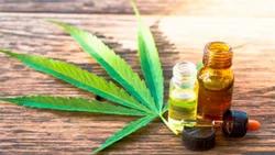 El Gobierno legalizó el autocultivo de cannabis medicinal