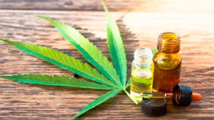 El Gobierno legalizó el autocultivo de cannabis medicinal