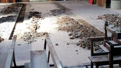 La Universidad de La Plata estudiará el cráneo hallado en la Catedral