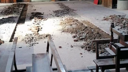 La Universidad de La Plata estudiará el cráneo hallado en la Catedral