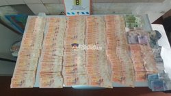 Casino denunció una red internacional de juego clandestino