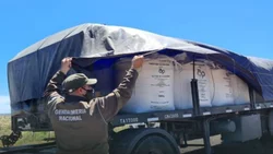 Llevaba carbonato de sodio y Gendarmería lo detuvo