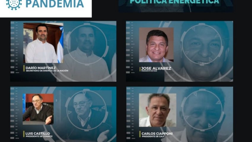 Darío Martínez prometió "sanear" el sistema eléctrico