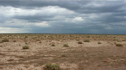 Gravísimo: se secó la laguna Urre Lauquen en La Pampa