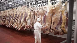Nuevo golpe para el bolsillo: aumenta la carne hasta un 20%