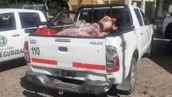 Llevaba 40 chivos en la caja de una Hilux y lo atraparon