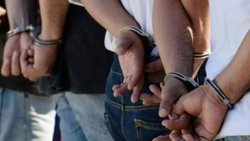 Detenidos al robar ganado en Valle Azul