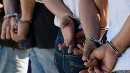 Detenidos al robar ganado en Valle Azul
