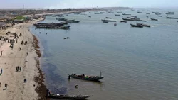 Más de 500 pescadores se infectan de una extraña enfermedad