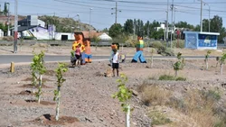 Otro sector para agregar verde al Parque Norte