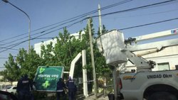 Carteles, árboles caídos y cortes de luz luego del viento