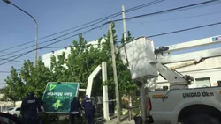 Carteles, árboles caídos y cortes de luz luego del viento