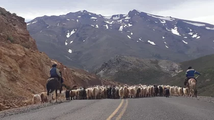 Fotogalería de la emocionante veranada patagónica