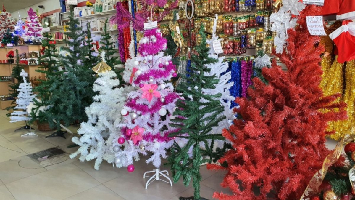 En Neuquén un árbol de navidad puede costar hasta 46 mil pesos