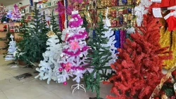 En Neuquén un árbol de navidad puede costar hasta 46 mil pesos