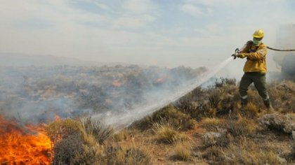 Preocupación por incendios: "La cordillera está muy seca"