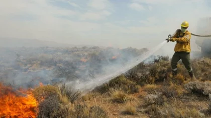 Preocupación por incendios: "La cordillera está muy seca"