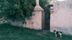 Hallaron un cadáver flotando en un pozo ciego