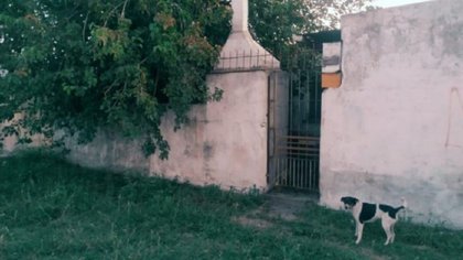 Hallaron un cadáver flotando en un pozo ciego