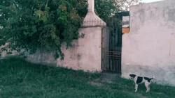 Hallaron un cadáver flotando en un pozo ciego