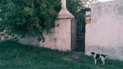 Hallaron un cadáver flotando en un pozo ciego