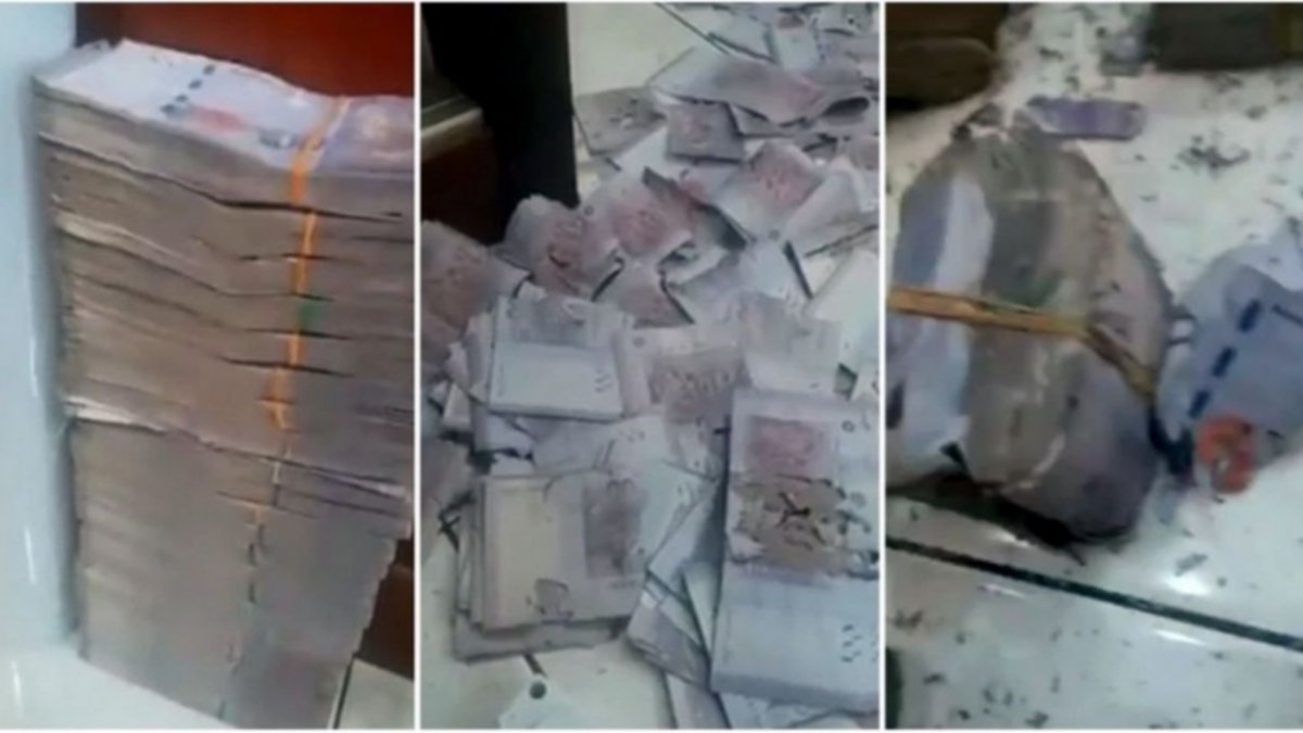 Para llorar: Abuela perdió 73 mil dólares porque "los guardó mal"