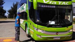 Alarma en la terminal por la llegada de un chofer con fiebre