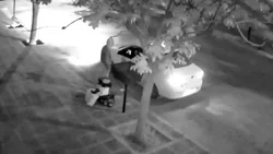 Un taxista se negó a llevar a los ladrones con el botín