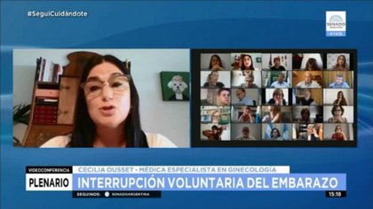 Una nena obligada a parir escribió una carta a los senadores