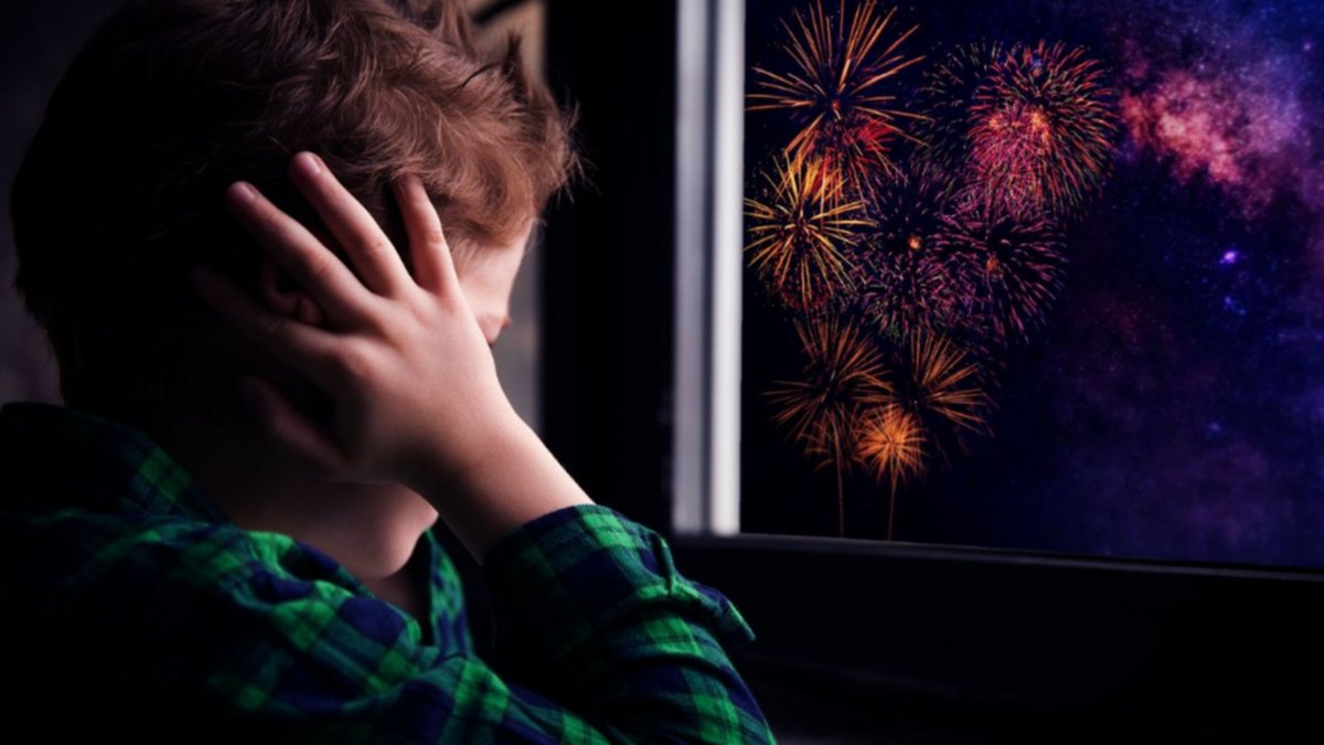 Roca: Navidad con pirotecnia y sin controles
