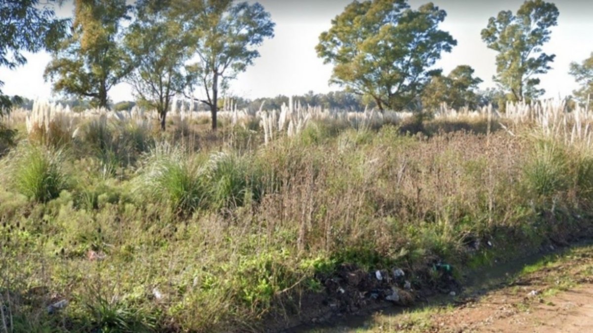 Hallan el cadáver de una mujer en autopista Ezeiza-Cañuelas