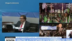 Los rionegrinos votaron en verde en el Senado y en Diputados