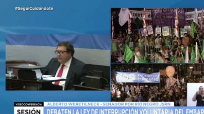 Los rionegrinos votaron en verde en el Senado y en Diputados