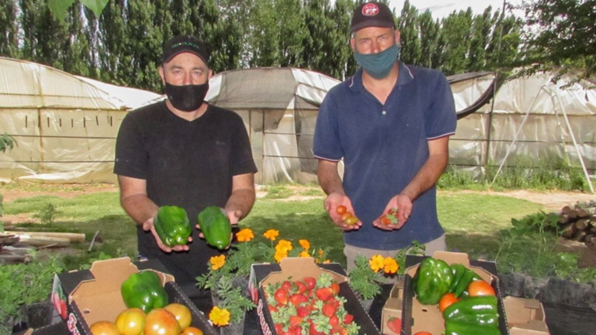 Los cultivos hidropónicos avanzan con singularidad neuquina