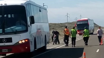 Finalmente los golondrinas no necesitan el test negativo