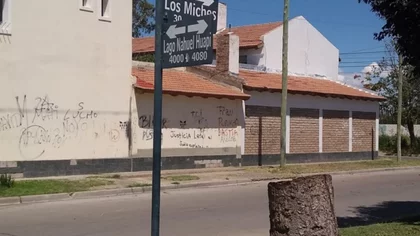 El último crujido de una emblemática Araucaria de Neuquén
