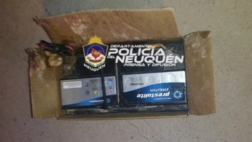 Detuvieron a cuatro ladrones de baterías de autos