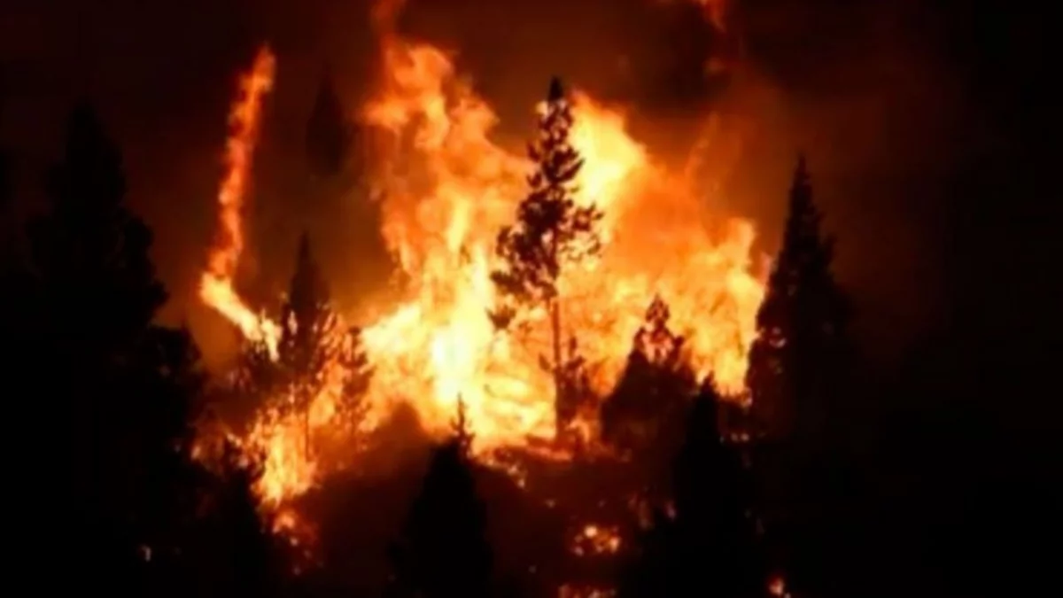 Pudieron controlar el incendio en El Bolsón