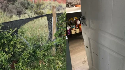 Vecinos denuncian ausencia policial en el Pellegrini
