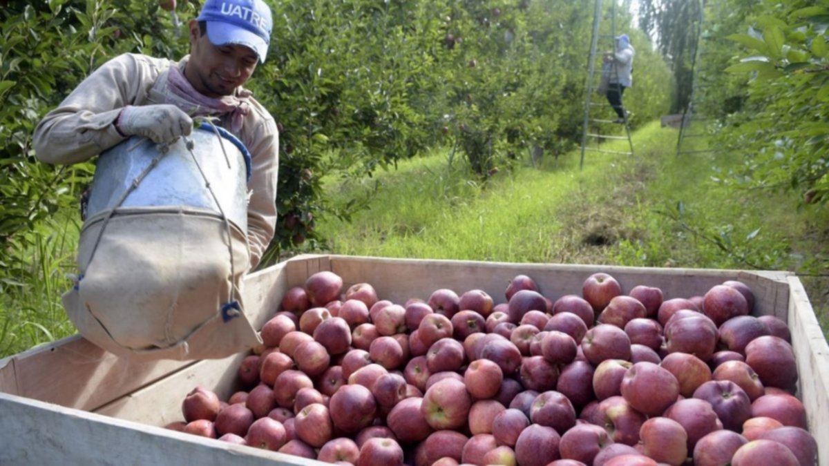 Aumento salarial de 40,5% para obreros de la fruta