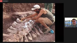 El Titanosaurio re impulsa al museo de Zapala