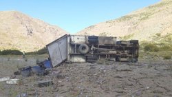 Volcó un camión y cientos de truchas quedaron en la banquina