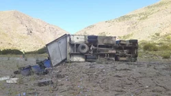 Volcó un camión y cientos de truchas quedaron en la banquina