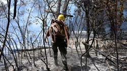 Por un asado... el Bolsón arde: “Nos duele en el alma"