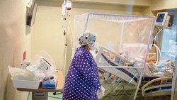 Aumentó en Neuquén la cepa Manaos, y circula la del Reino Unido