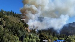 Buscan a 6 jóvenes; un vecino los vio iniciar el incendio