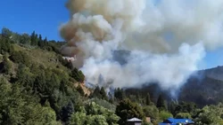 Buscan a 6 jóvenes; un vecino los vio iniciar el incendio