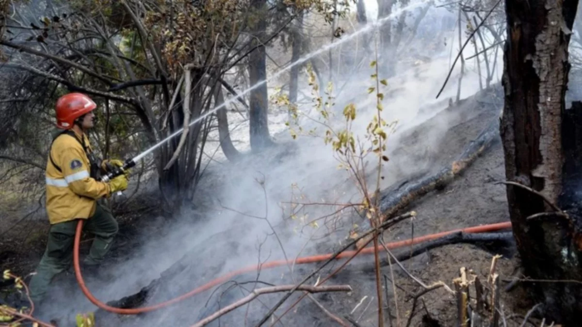 El municipio de El Bolsón será querellante por el incendio
